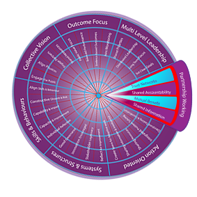Multi-Level Leadership